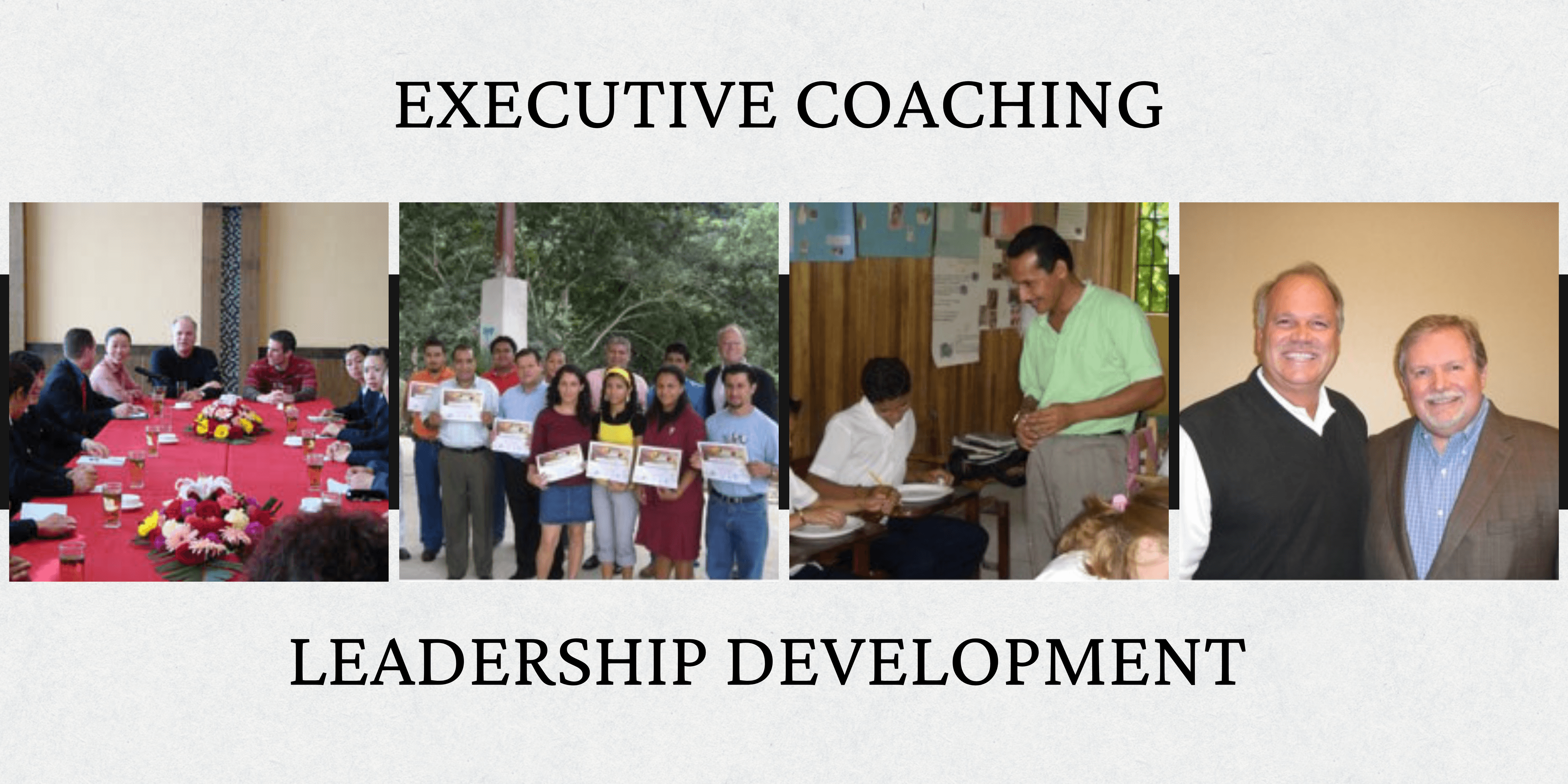 Cover Image for Executive Coaching and Leadership Development